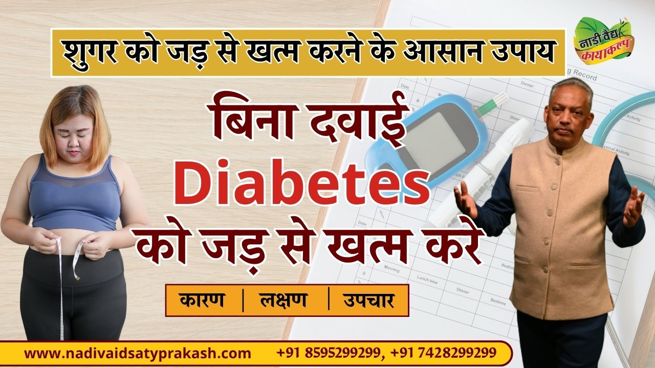Best Ayurvedic Treatment for Diabetes in Rohtak & Delhi Natural Blood Sugar Balance with Nadi Vaid Satyprakash