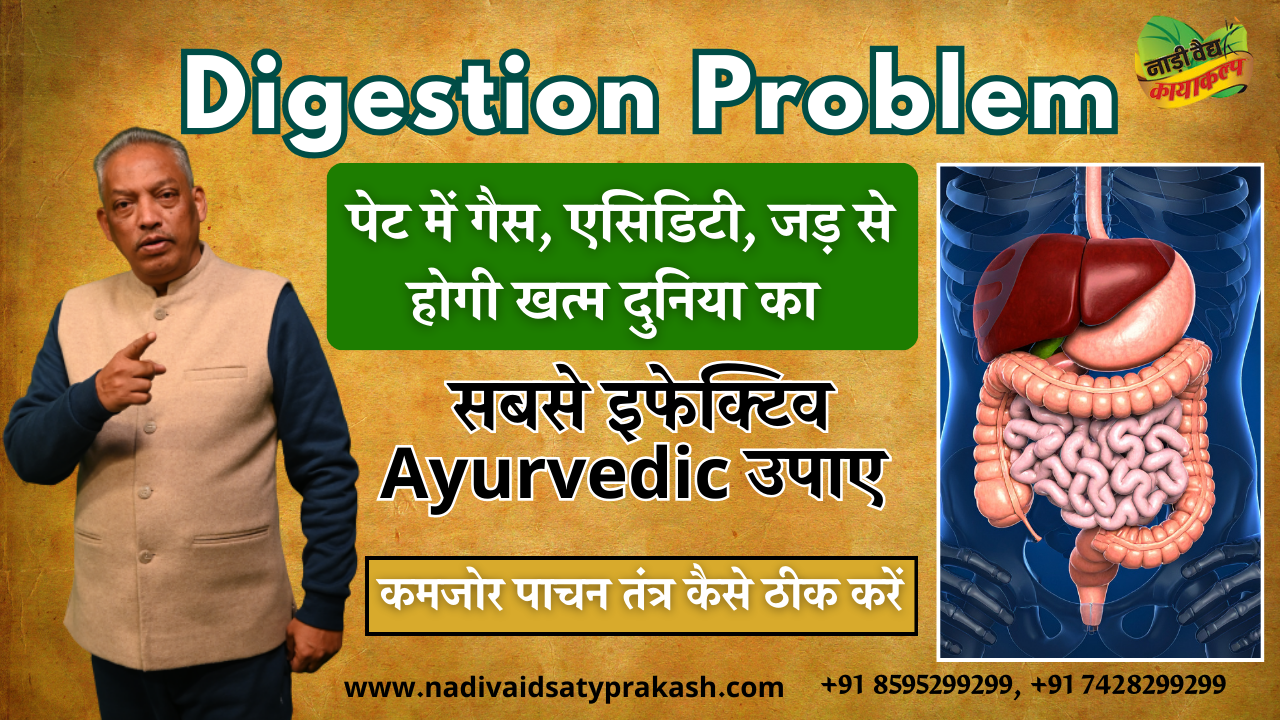 best ayurvedic doctor for digestion problem