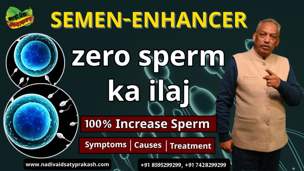 best ayurvedic semen‑enhancer treatment in Rohtak and Delhi