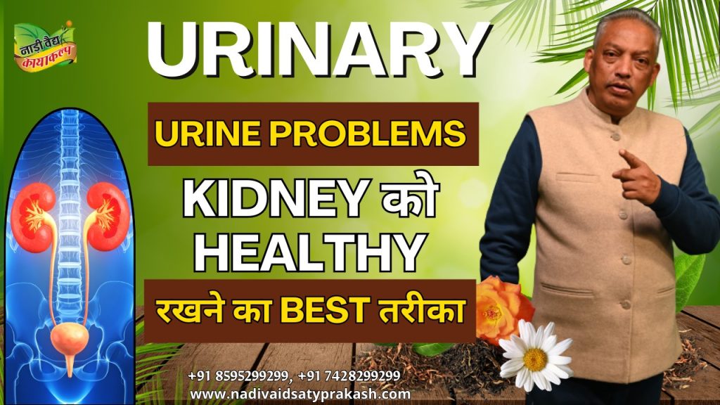 Best Ayurvedic Treatment for Urinary Disorders in Rohtak and Delhi