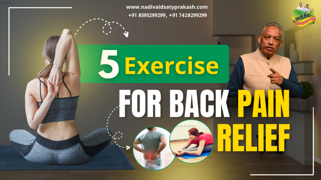 Best Ayurvedic Doctor Hospital for Back Pain in Rohtak and Delhi
