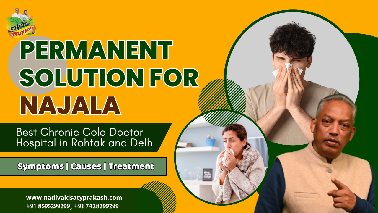 Ayurvedic Doctor Treatment for Chronic Cold in Rohtak and Delhi