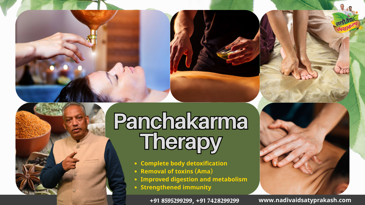 Best Panchakarma Detox Therapy Hospital in Rohtak and Delhi