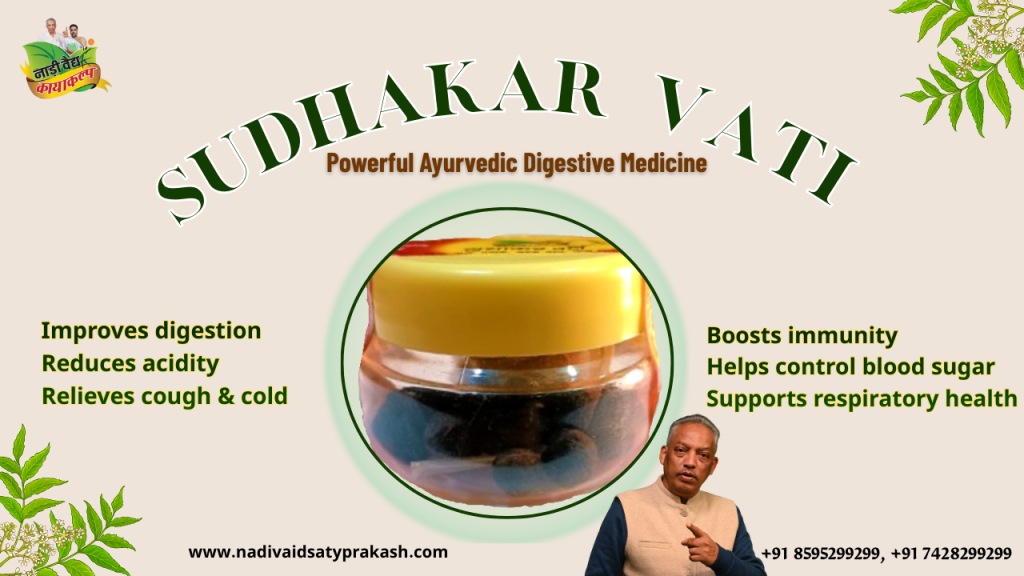 Sudhakar Vati Ayurvedic Medicine for Acidity in Rohtak