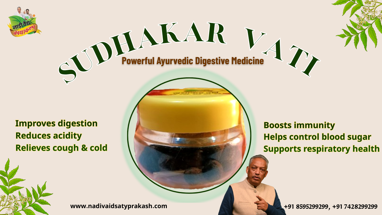 Sudhakar Vati Ayurvedic Medicine for Acidity in Rohtak